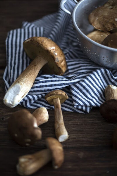 Mushrooms Photo by Nilayaren